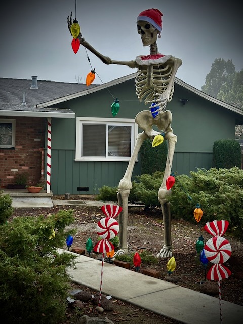 christmas santa skeleton